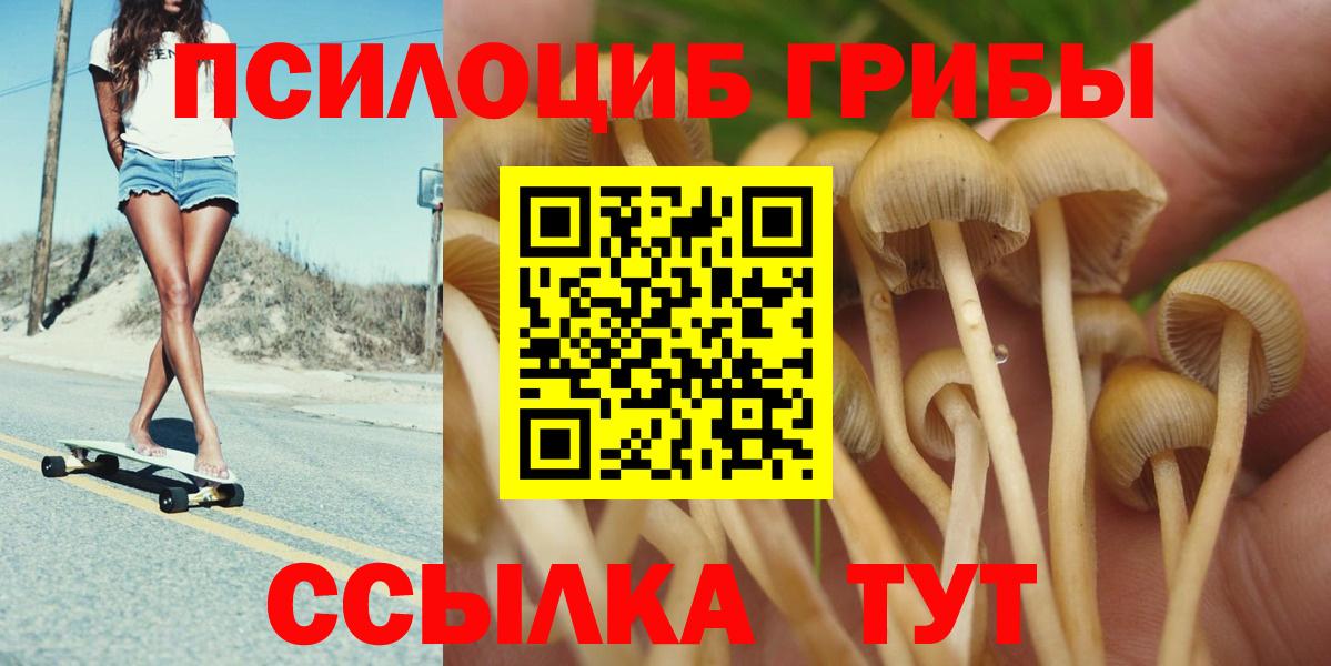 Люберцы  Галлюциногенные грибы Psilocybe  Галлюциногенные грибы MAGIC MUSHROOMS  Вход с VPN 